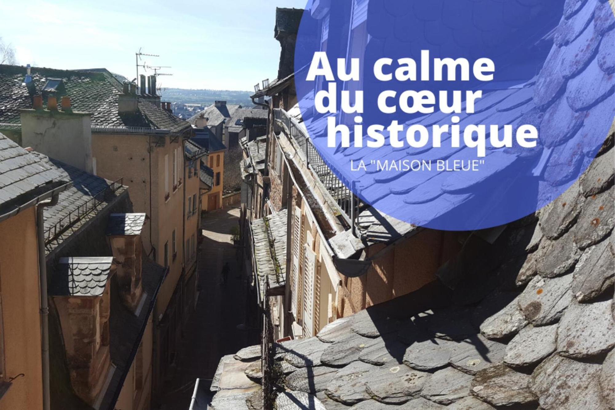 La Maison Bleue, Un Emplacement De Choix A Rodez Dış mekan fotoğraf