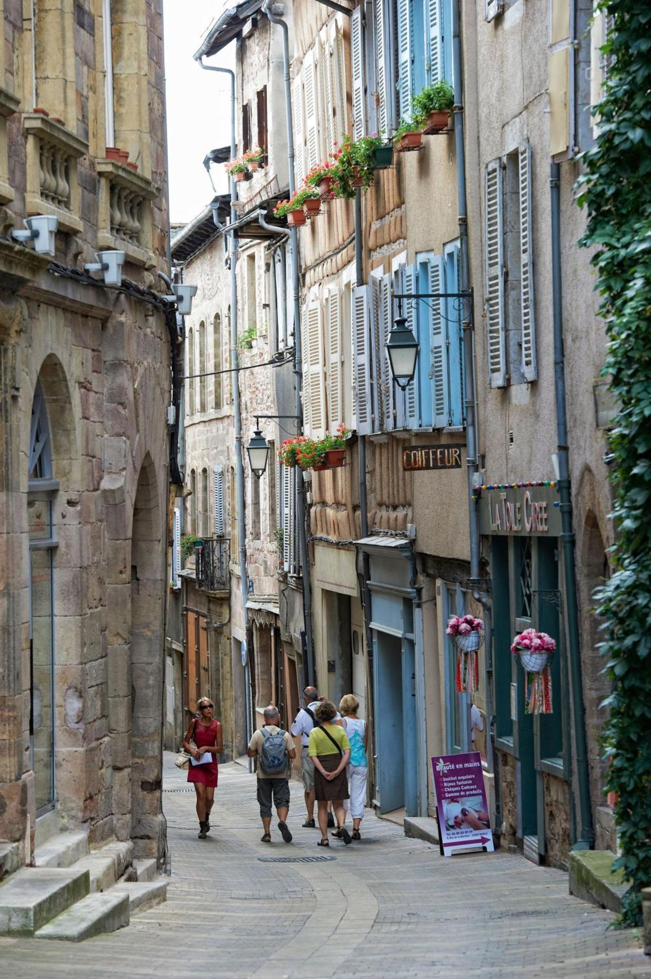 La Maison Bleue, Un Emplacement De Choix A Rodez Dış mekan fotoğraf